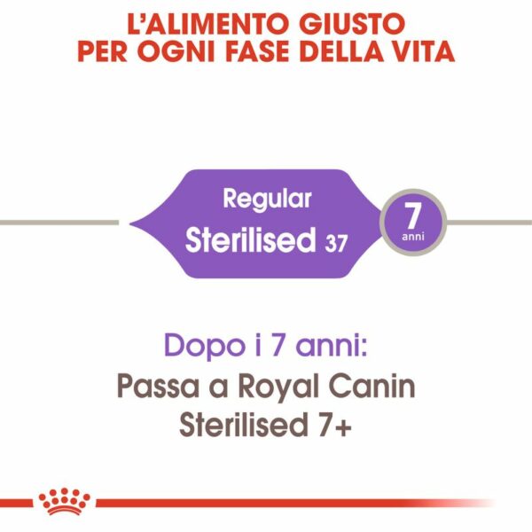 Royal Canin Regular Sterilised