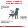 Royal Canin Satiety Weight Management