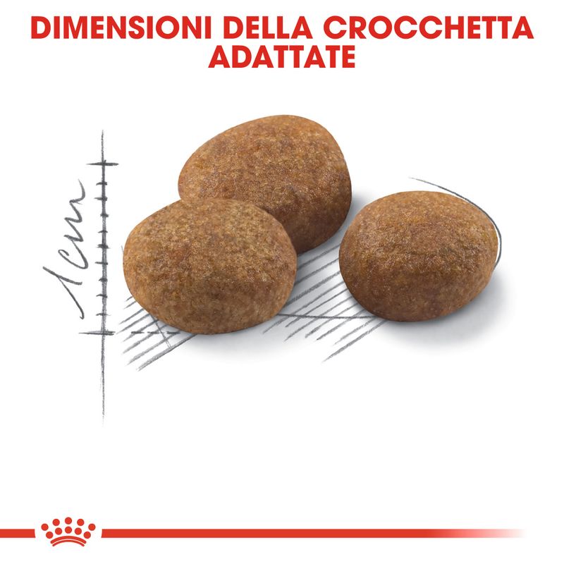 Royal Canin Sterilised 7+