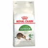 Royal Canin Active Life Outdoor Gatto