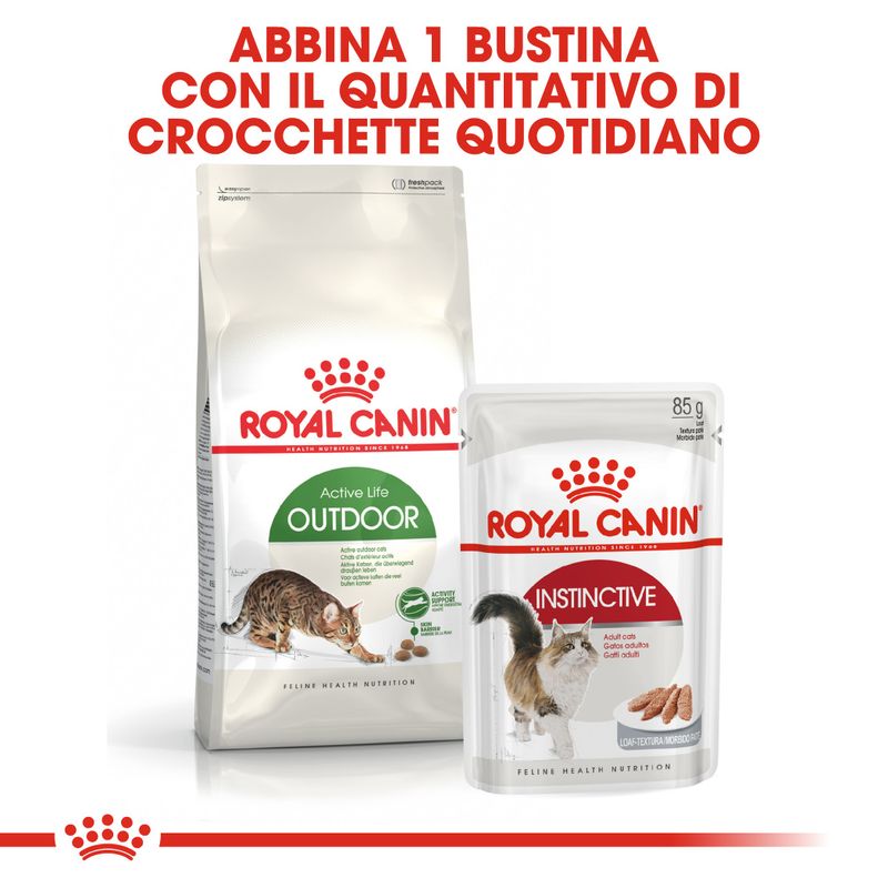 Royal Canin Active Life Outdoor Gatto