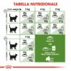 Royal Canin Active Life Outdoor Gatto