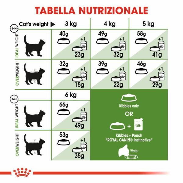 Royal Canin Active Life Outdoor Gatto