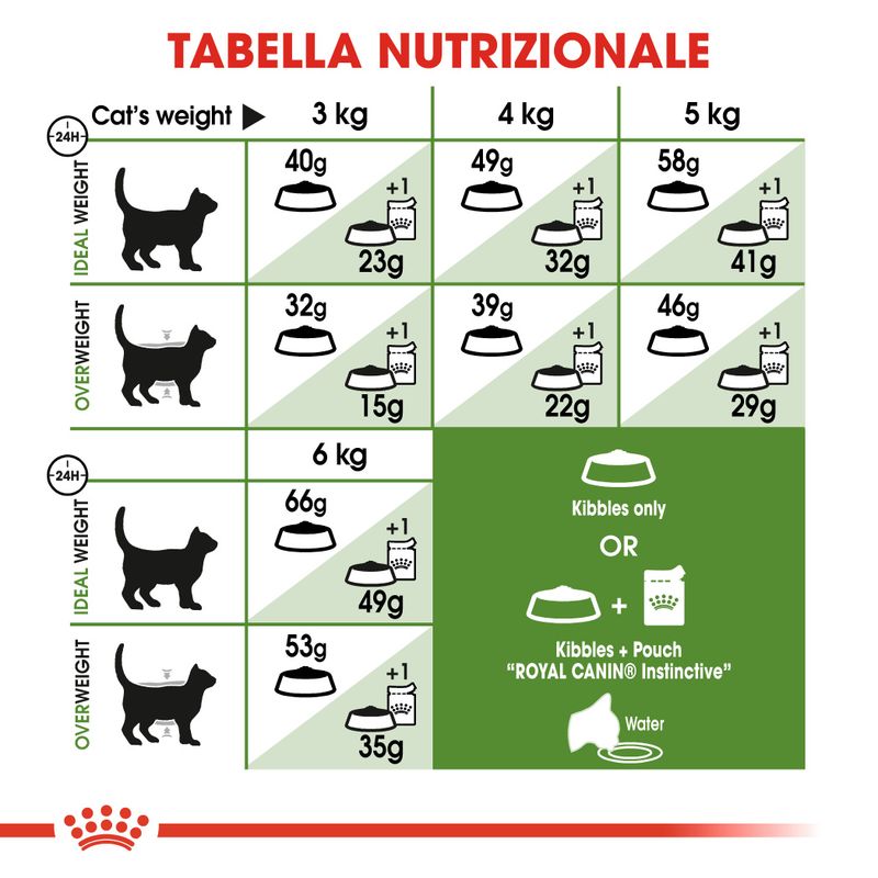 Royal Canin Active Life Outdoor Gatto
