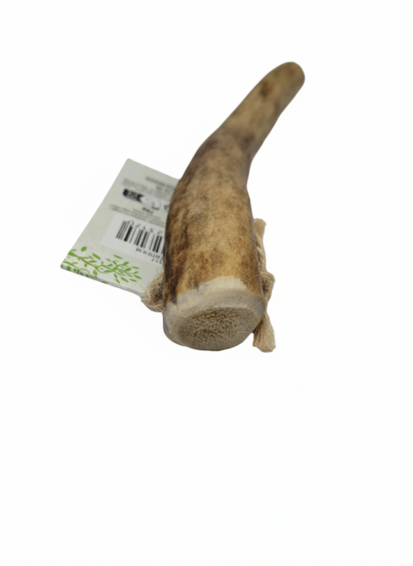 Zolux Corno Di Cervo Hard Cani da 10 a 25 Kg