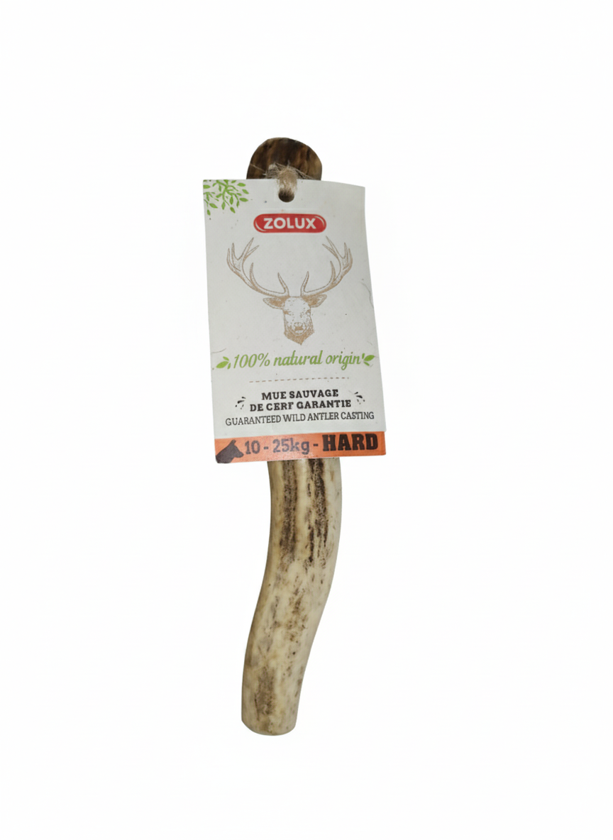 Zolux Corno Di Cervo Hard Cani da 10 a 25 Kg