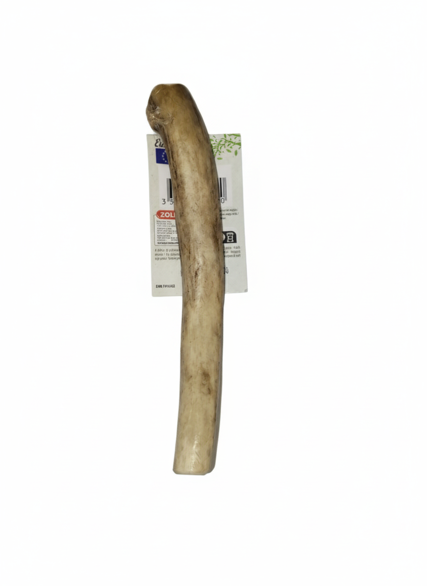 Zolux Corno Di Cervo Hard Cani da 10 a 25 Kg