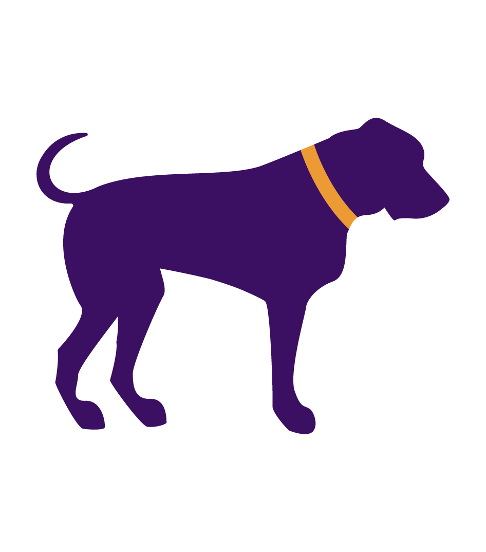 Cane