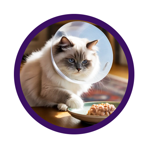 Cibo per gatti sterilizzati