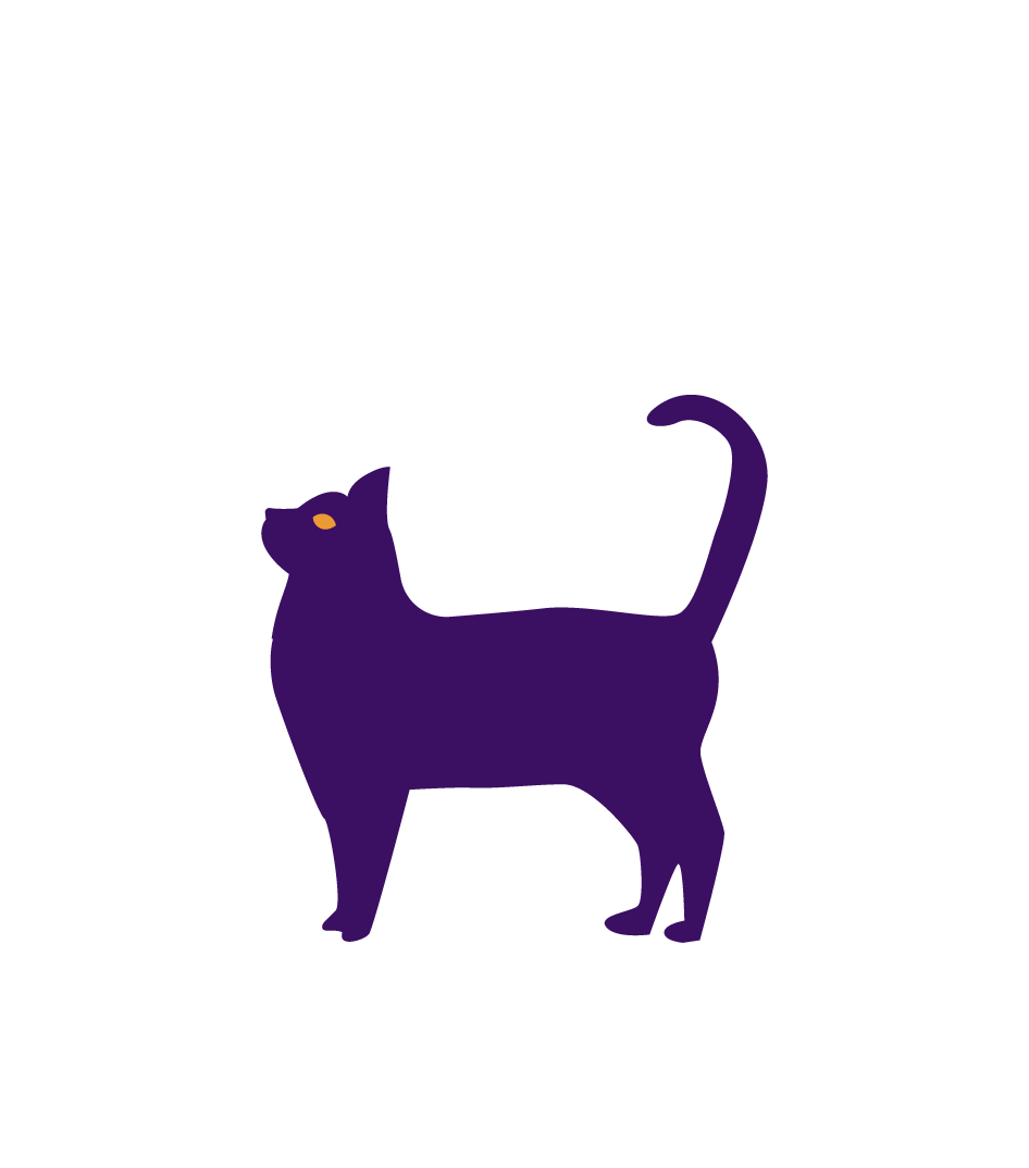 Gatto