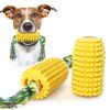 Animalin Pannocchia Gioco Igiene Dentale
