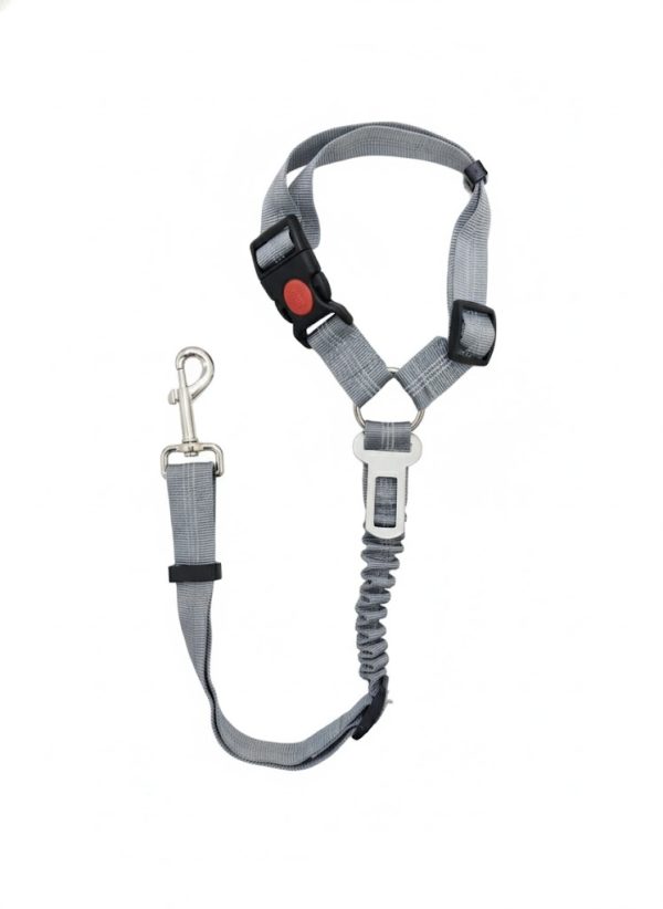 Cintura Di Sicurezza 2 in 1 Per Cani