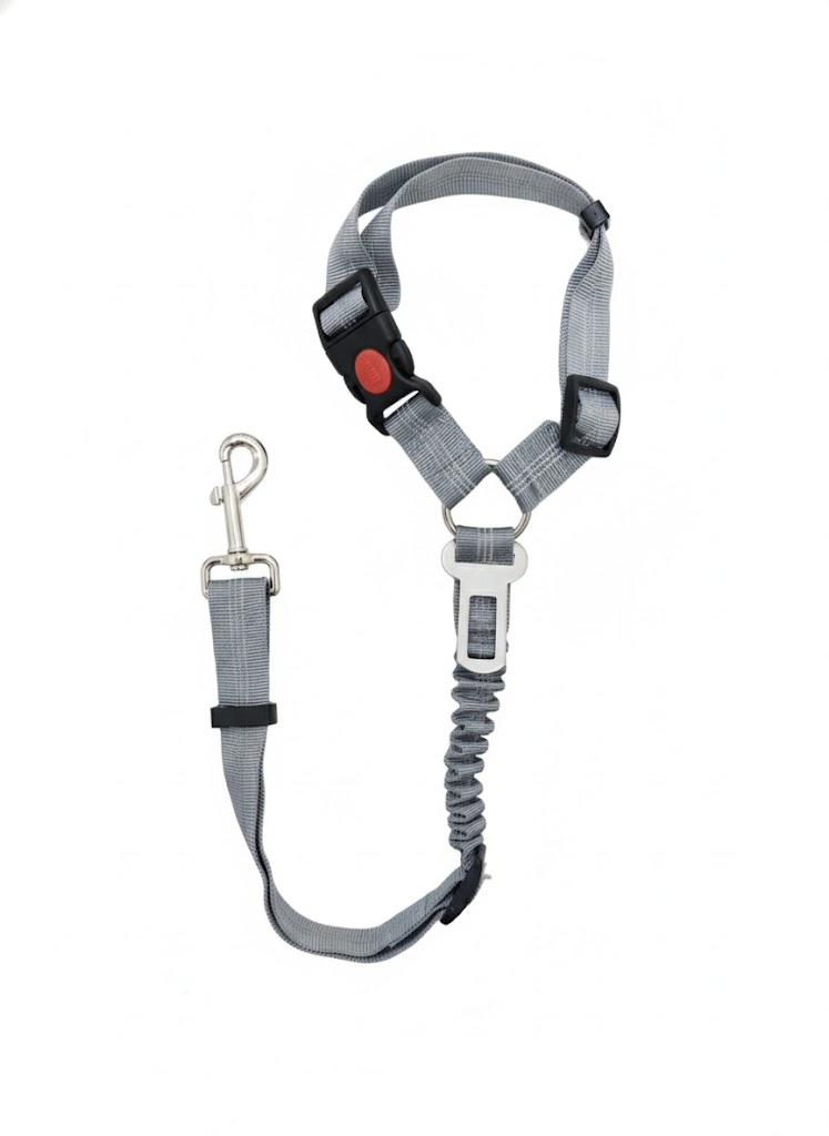 Cintura Di Sicurezza 2 in 1 Per Cani