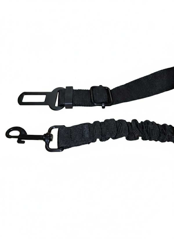 Cintura Di Sicurezza Per Cani