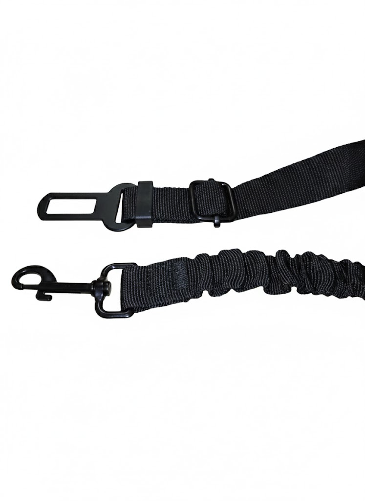 Cintura Di Sicurezza Per Cani