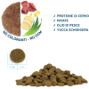 Forza10 Maintenance Medium Cervo e Patate