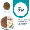 Forza10 Maintenance Maxi Pesce