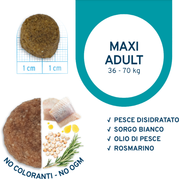 Forza10 Maintenance Maxi Pesce