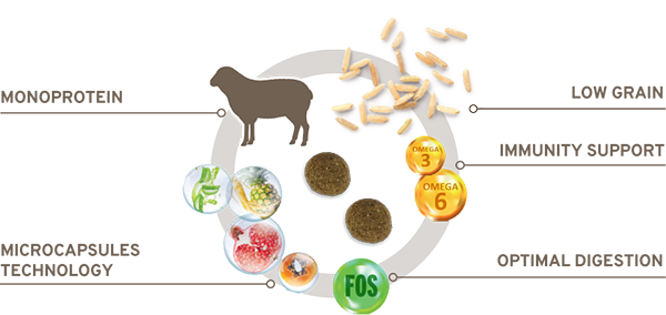 Forza10 MonoDiet Agnello Mini/Toy Adult