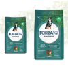 Forza10 Maintenance Maxi Cervo e Patate