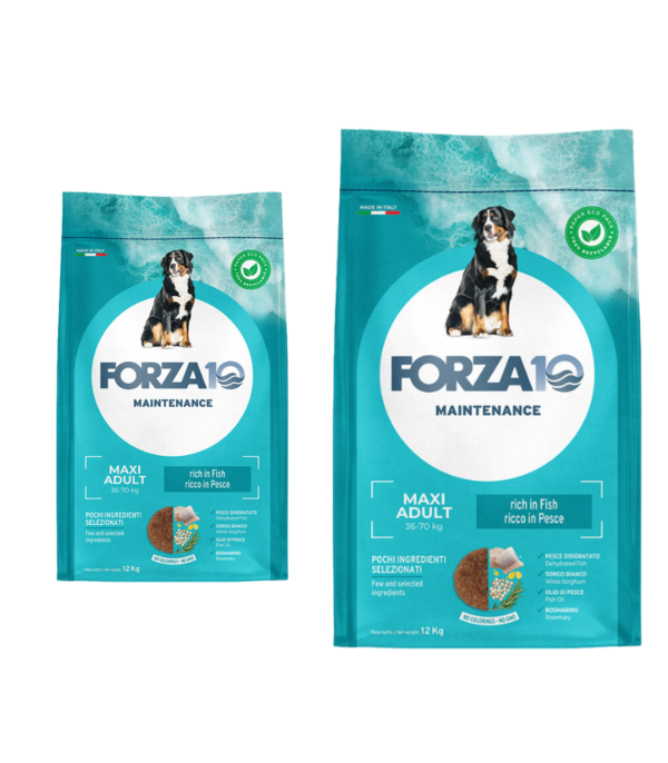 Forza10 Maintenance Maxi Pesce