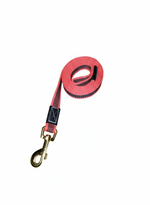 Guinzaglio Nylon Antiscivolo