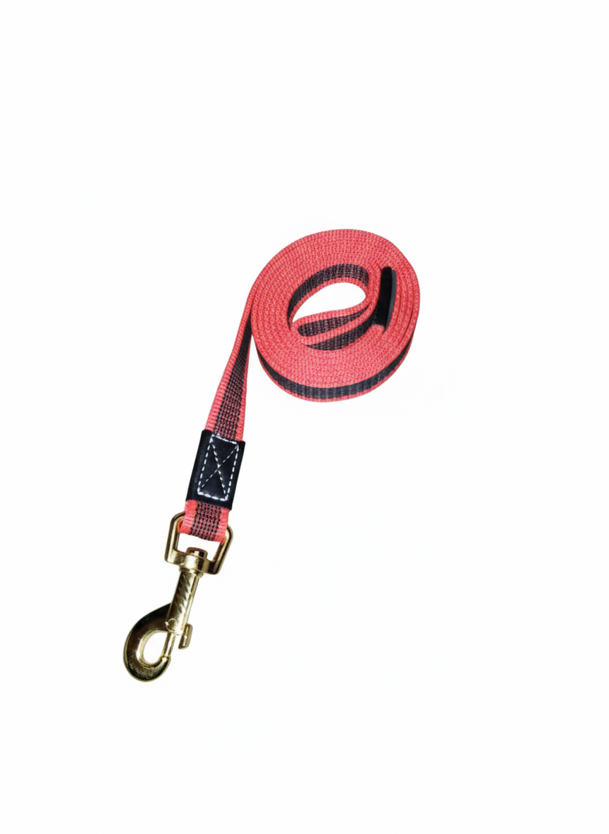 Guinzaglio Nylon Antiscivolo