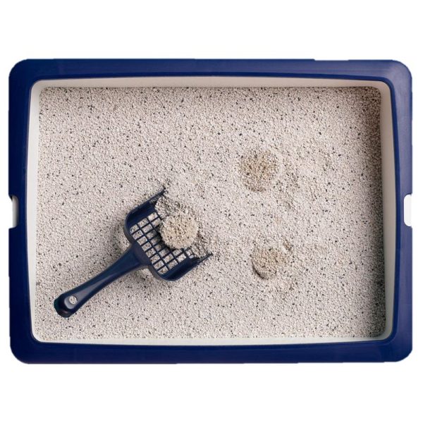 Lettiera Agglomerante Catsan Active Fresh 8L