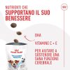 Premietti Training Treats Royal Canin