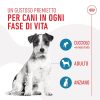 Premietti Training Treats Royal Canin