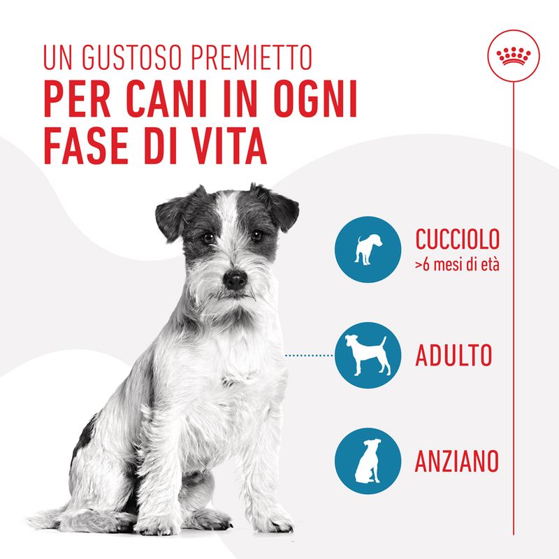 Premietti Training Treats Royal Canin