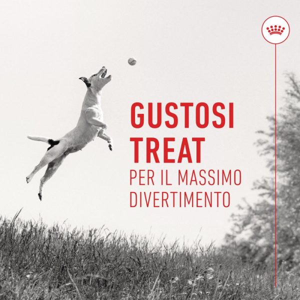 Premietti Training Treats Royal Canin