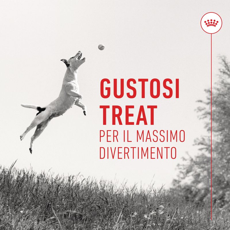 Premietti Training Treats Royal Canin
