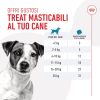 Premietti Training Treats Royal Canin