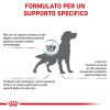 Royal Canin V-Diet Anallergenic Cane