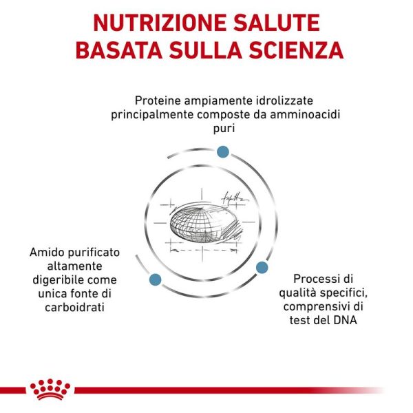 Royal Canin V-Diet Anallergenic Cane