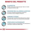 Royal Canin V-Diet Anallergenic Cane