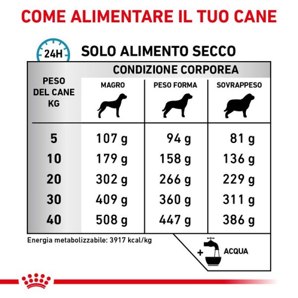 Royal Canin V-Diet Anallergenic Cane