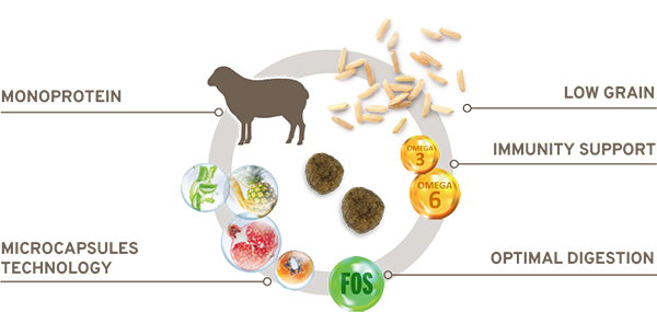 Forza10 MonoDiet Agnello Medium Adult