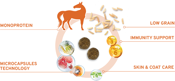 Forza10 MonoDiet Cavallo&Piselli Medium Adult