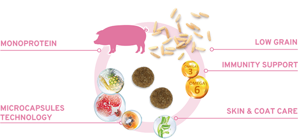 Forza10 MonoDiet Maiale&Patate Medium Adult