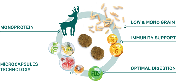 Forza10 MonoDiet Cervo&Patate Mini Adult