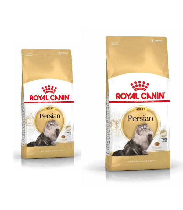 Royal Canin Adult Persian Gatto