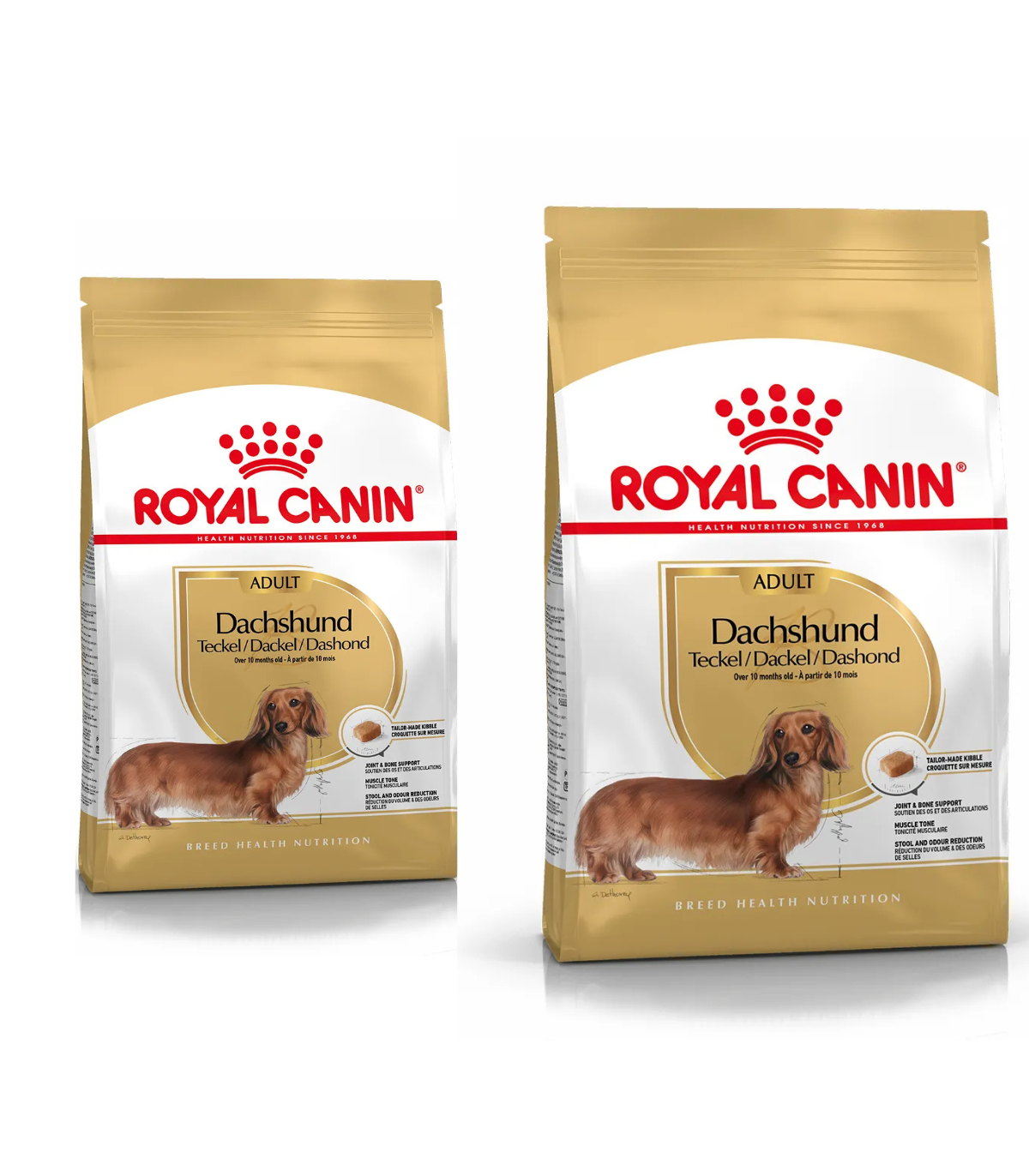 Royal Canin Bassotto Dachshund Adult