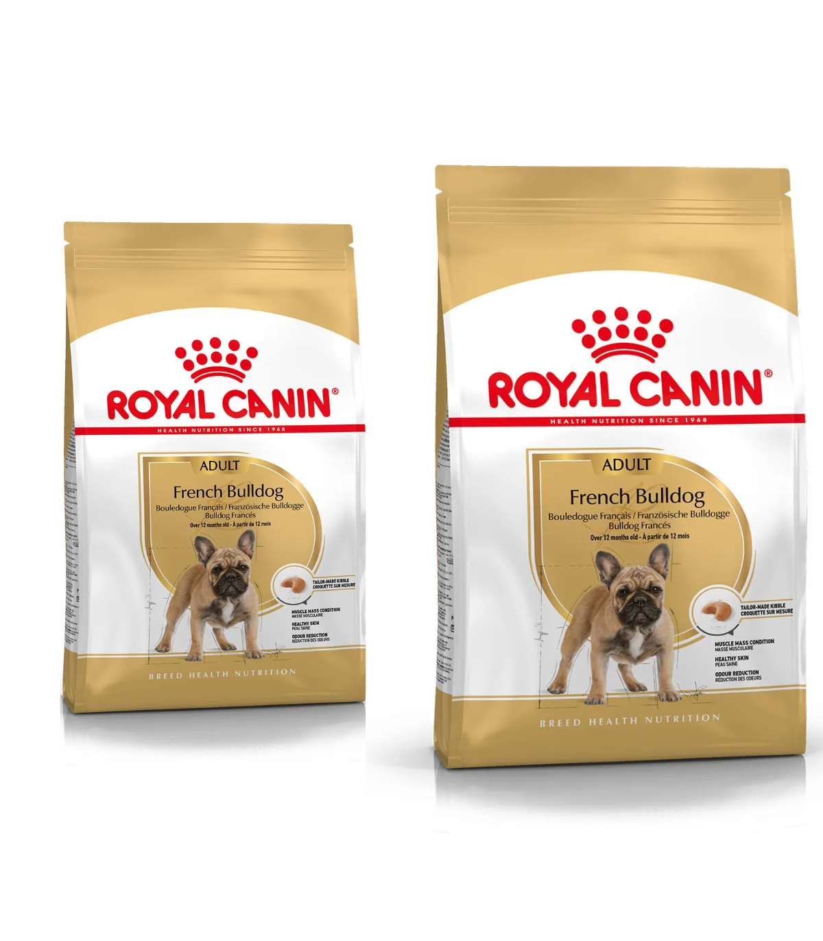 Royal Canin Bulldog Francese Adult