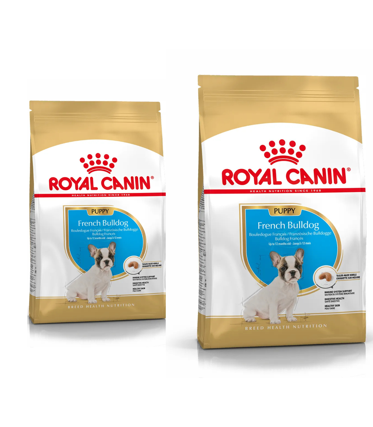 Royal Canin Bulldog Francese Puppy