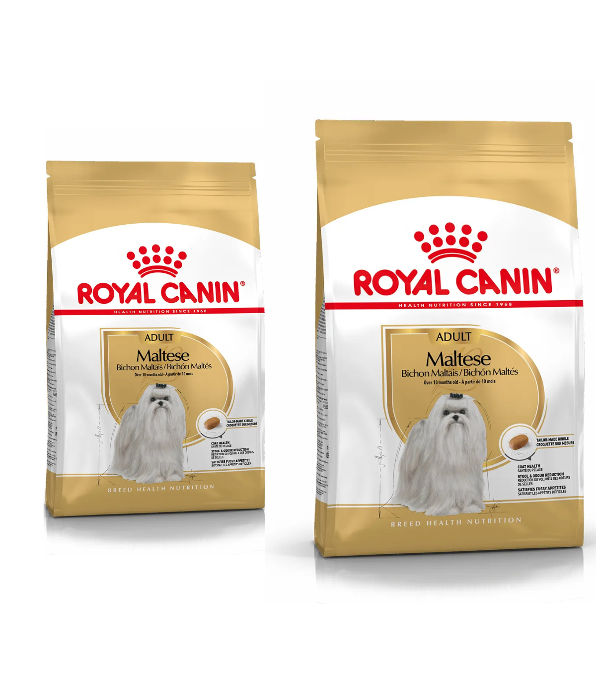 Royal Canin Maltese Adult