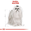 Royal Canin Maltese Adult