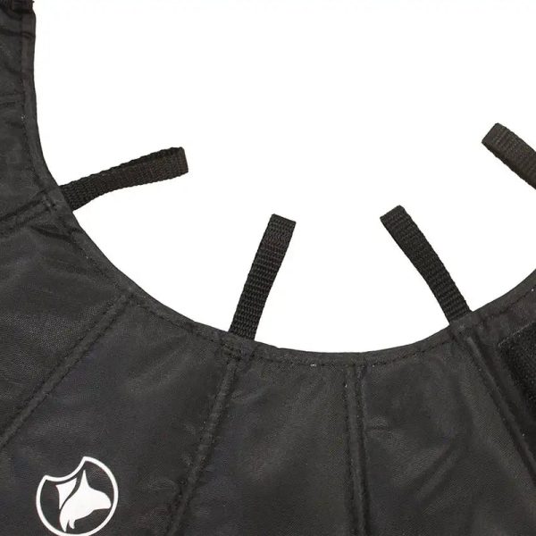 Collare Elisabettiano Comfort Cane e Gatto