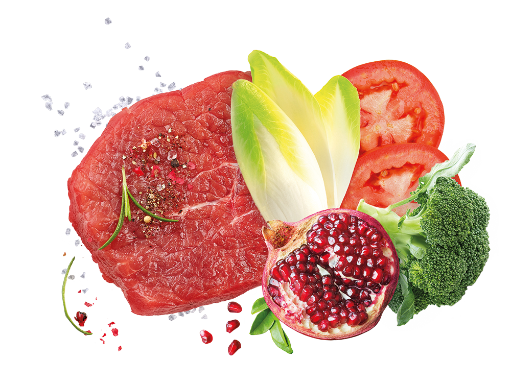 Exclusion Mediterraneo Puppy Large Breed Manzo